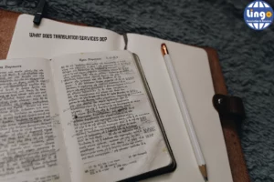 What does translation services do